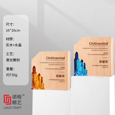 炫彩晶木奖杯系列-21