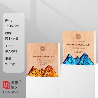 炫彩晶木奖杯系列-22