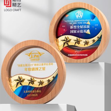 晶木山河定制奖牌系列五4