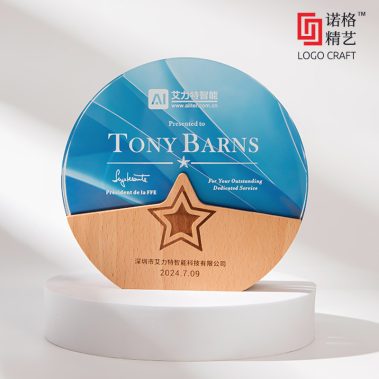 晶木山河定制奖牌系列四11