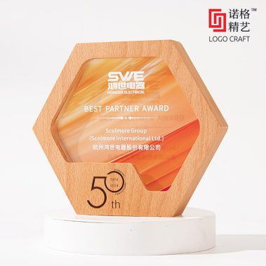 晶木山河定制奖牌系列四14