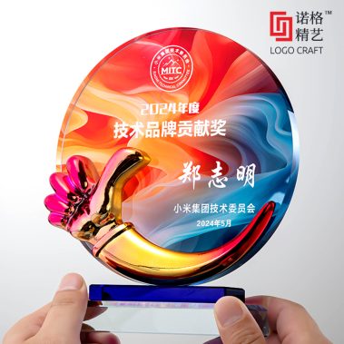 炫彩树脂水晶定制奖牌2