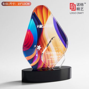 炫彩水晶彩印定制奖牌6