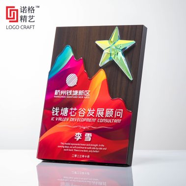 炫彩水晶胡桃木定制奖牌1