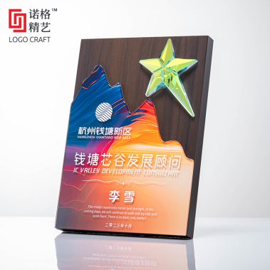 炫彩水晶胡桃木定制奖牌5