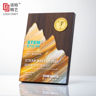 炫彩水晶胡桃木定制奖牌6