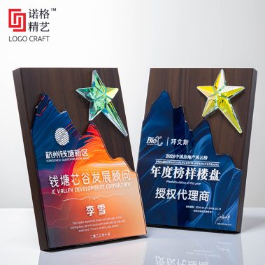炫彩水晶胡桃木定制奖牌7