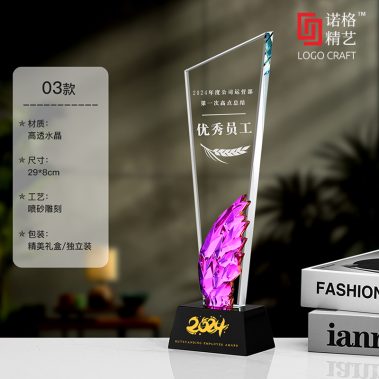 炫彩水晶飞翼定制奖杯2