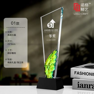 炫彩水晶飞翼定制奖杯4