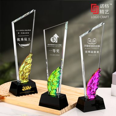炫彩水晶飞翼定制奖杯5