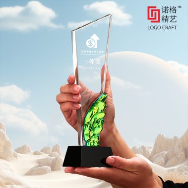 炫彩水晶飞翼定制奖杯7