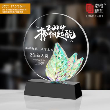 炫彩镭射水晶定制奖杯7