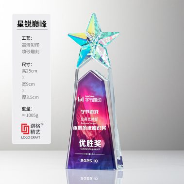 炫彩定制五星水晶奖杯-6