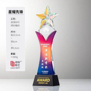 炫彩定制五星水晶奖杯-8