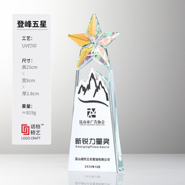 炫彩定制五星水晶奖杯-8